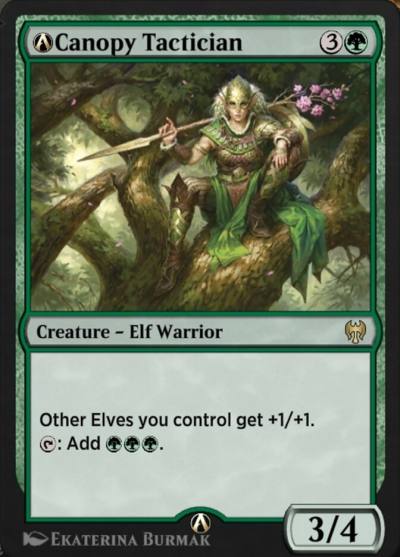 A-Canopy Tactician KHM-A-378 Kaldheim Magic card