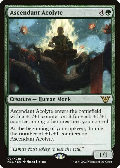 Ascendant Acolyte NEC-24 Neon Dynasty Commander Magic card