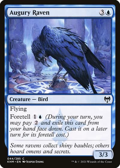 Augury Raven 44 Kaldheim Magic card