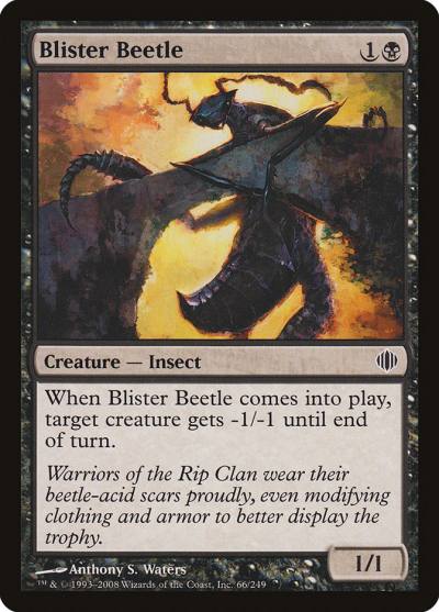 Blister Beetle 66 Shards of Alara Magic card