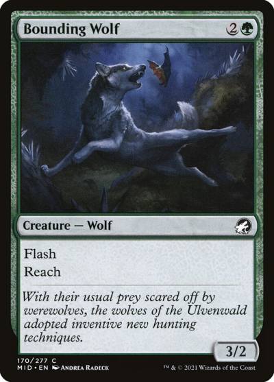Bounding Wolf MID-170 Innistrad: Midnight Hunt Magic card