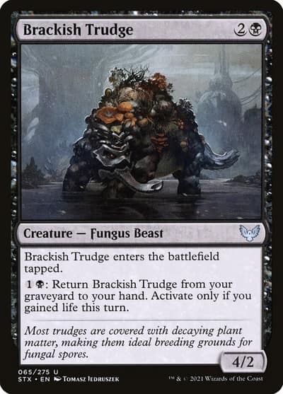 Brackish Trudge 65 Strixhaven: School of Mages Magic card