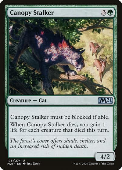 Canopy Stalker 175 Core Set 2021 Magic card