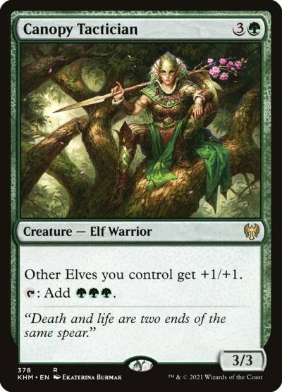 Canopy Tactician 378 Kaldheim Magic card