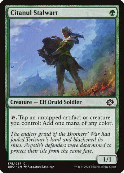 Citanul Stalwart BRO-175 The Brothers' War Magic card