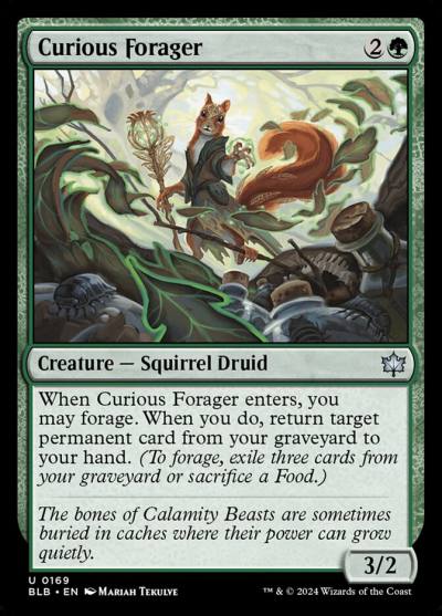Curious Forager BLB-169 Bloomburrow Magic card
