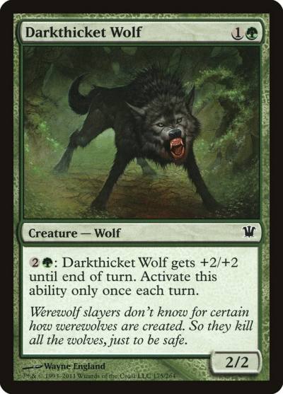 Darkthicket Wolf 175 Innistrad Magic card