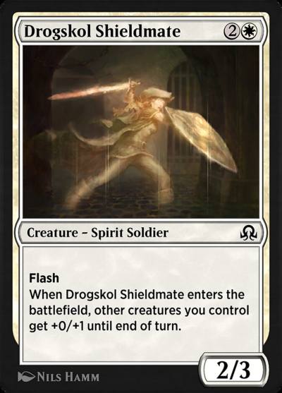 Drogskol Shieldmate