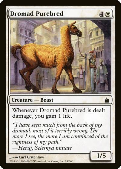 Dromad Purebred 15 Ravnica: City of Guilds Magic card