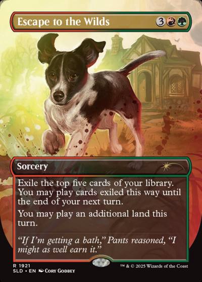 Escape to the Wilds SLD-1921 Secret Lair Drop Magic card