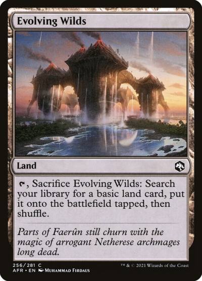 Evolving Wilds AFR-256 Adventures in the Forgotten Realms Magic card