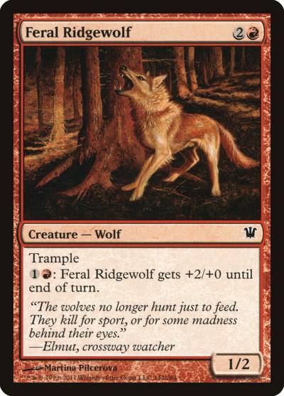 Feral Ridgewolf 142 Innistrad Magic card