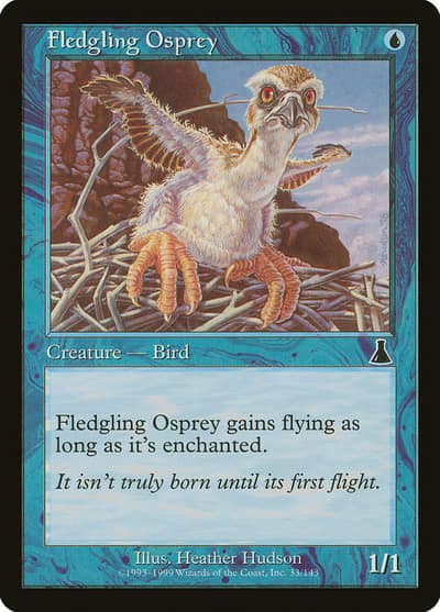 Fledgling Osprey 33 Urza's Destiny Magic card