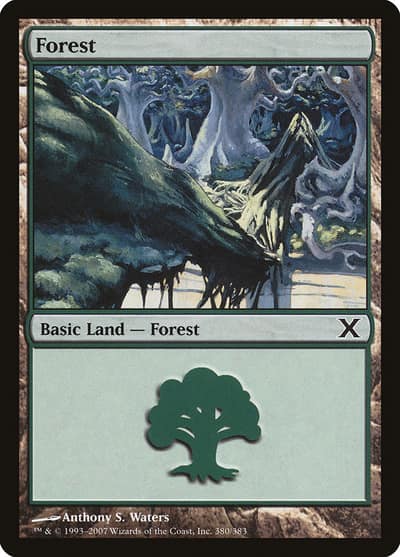 Forest 10E-380 Tenth Edition Magic card