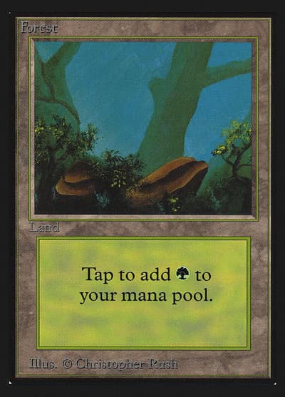 Forest CED-300 Collectors' Edition Magic card