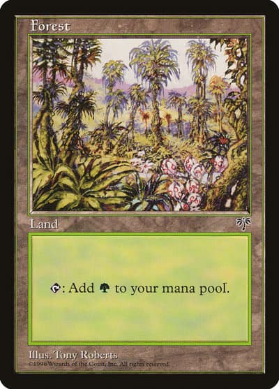Forest MIR-347 Mirage Magic card