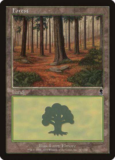 Forest ODY-347 Odyssey Magic card