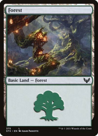 Forest STX-375 Strixhaven: School of Mages Magic card