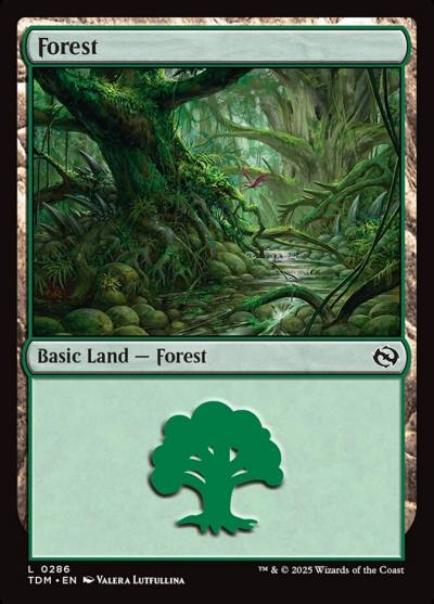 Forest TDM-286 Tarkir: Dragonstorm Magic card