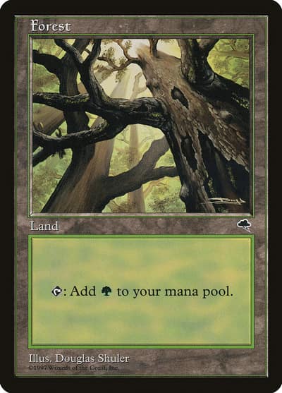 Forest TMP-347 Tempest Magic card
