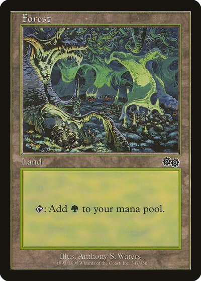 Forest USG-347 Urza's Saga Magic card