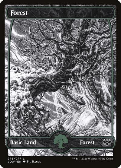 Forest VOW-276 Innistrad: Crimson Vow Magic card