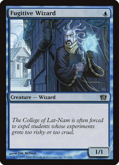 Fugitive Wizard