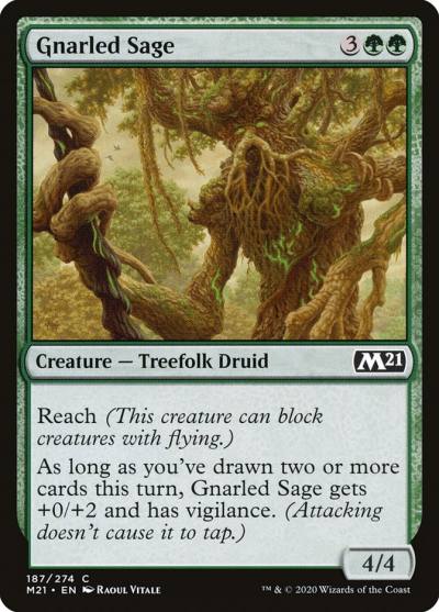 Gnarled Sage M21-187 Core Set 2021 Magic card