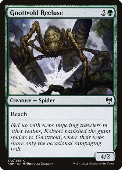 Gnottvold Recluse 172 Kaldheim Magic card