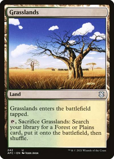 Grasslands AFC-242 Forgotten Realms Commander Magic card
