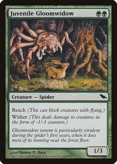Juvenile Gloomwidow 121 Shadowmoor Magic card
