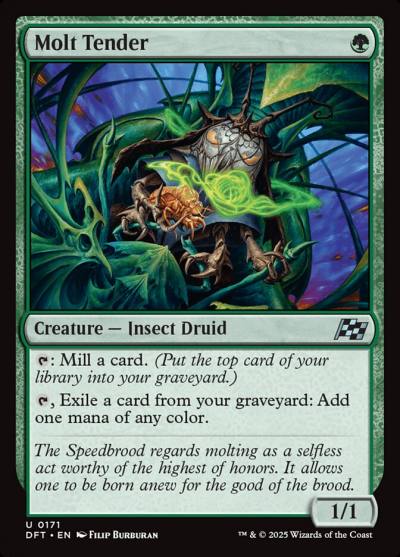 Molt Tender 171 Aetherdrift Magic card