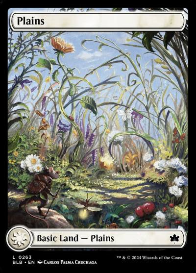Plains BLB-263 Bloomburrow Magic card
