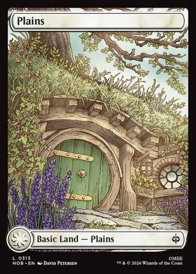 Plains HOB-313 The Hobbit Magic card