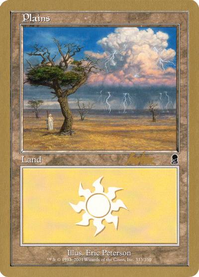 Plains WC02-BK333 World Championship Decks 2002 Magic card
