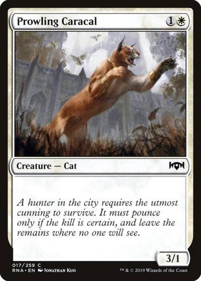 Prowling Caracal RNA-17 Ravnica Allegiance Magic card