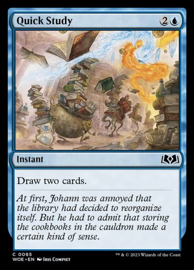 Quick Study WOE-65 Wilds of Eldraine Magic card
