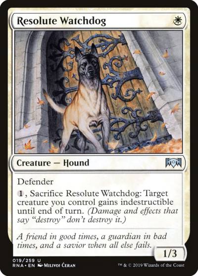 Resolute Watchdog RNA-19 Ravnica Allegiance Magic card
