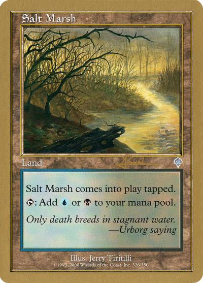 Salt Marsh