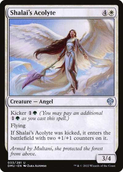 Shalai's Acolyte 33 Dominaria United Magic card