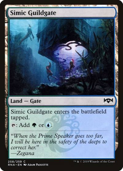 Simic Guildgate RNA-258 Ravnica Allegiance Magic card