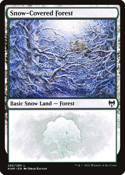 Snow-Covered Forest
