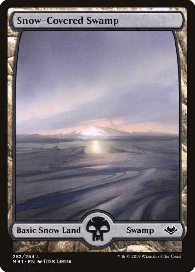 Snow-Covered Swamp