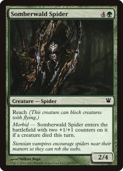 Somberwald Spider 202 Innistrad Magic card