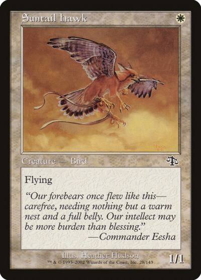 Suntail Hawk JUD-28 Judgment Magic card
