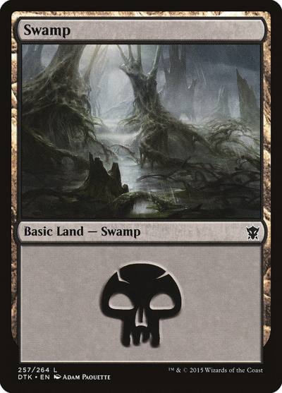 Swamp DTK-257 Dragons of Tarkir Magic card
