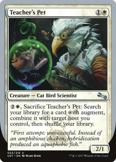 Teacher's Pet UST-25 Unstable Magic card