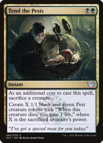 Tend the Pests STX-242 Strixhaven: School of Mages Magic card