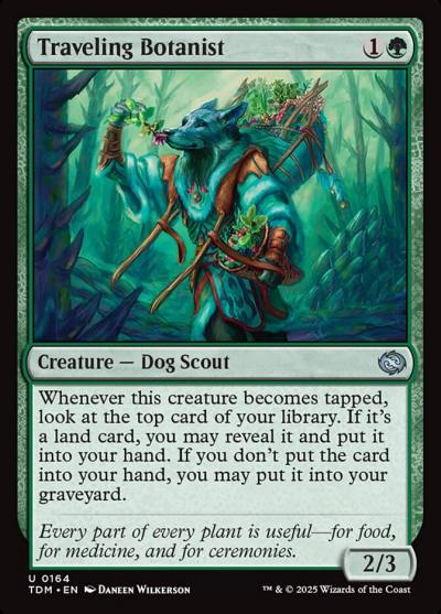Traveling Botanist TDM-164 Tarkir: Dragonstorm Magic card