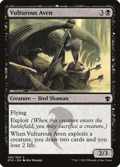 Vulturous Aven 126 Dragons of Tarkir Magic card